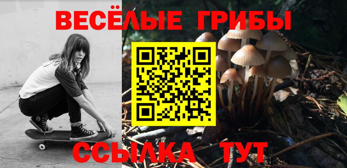 Галлюциногенные грибы Magic Shrooms Рузаевка